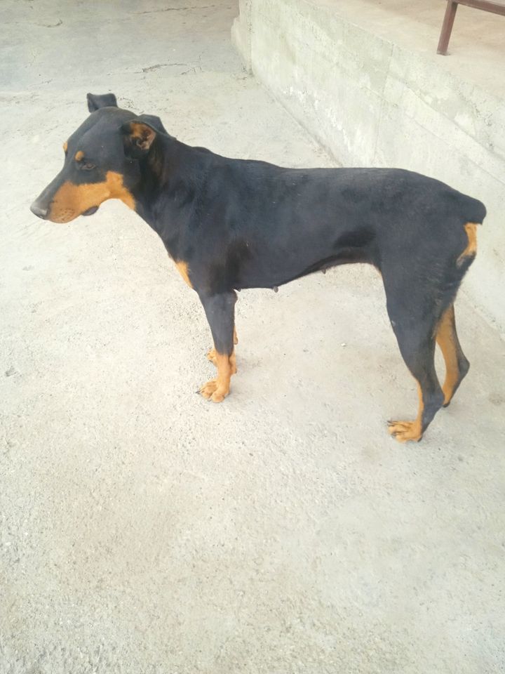 3 600 000 UZS