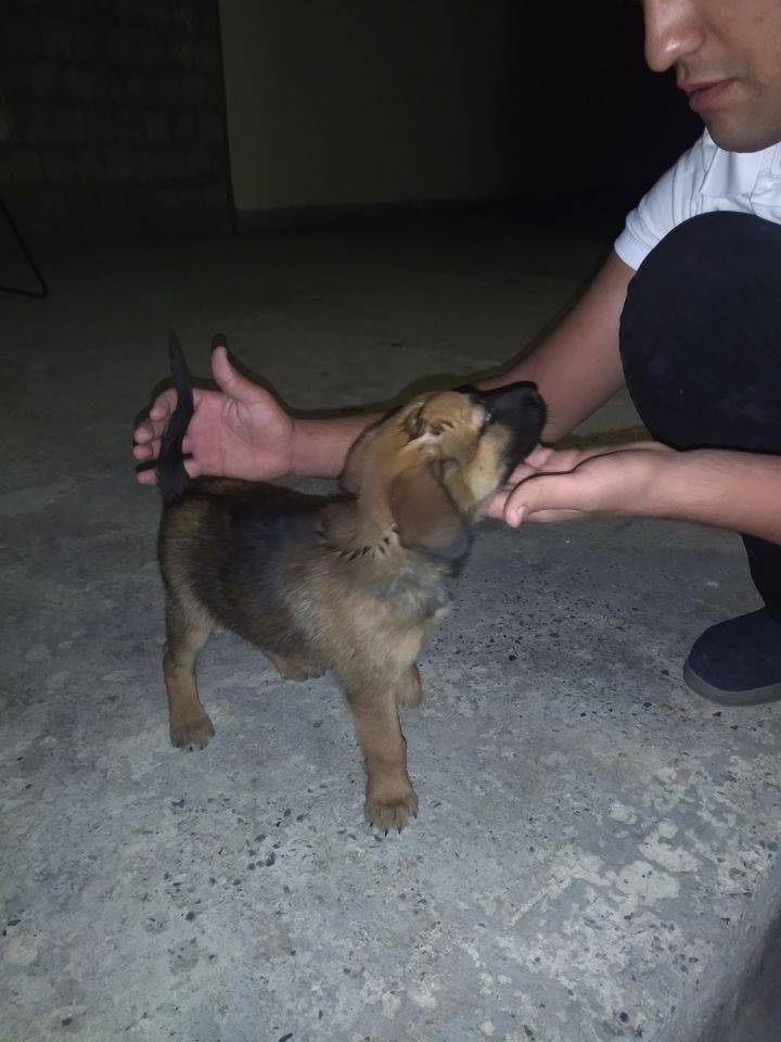 250 USD
