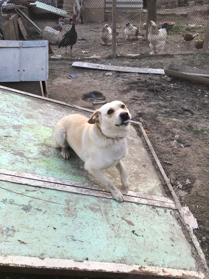 500 000 сум