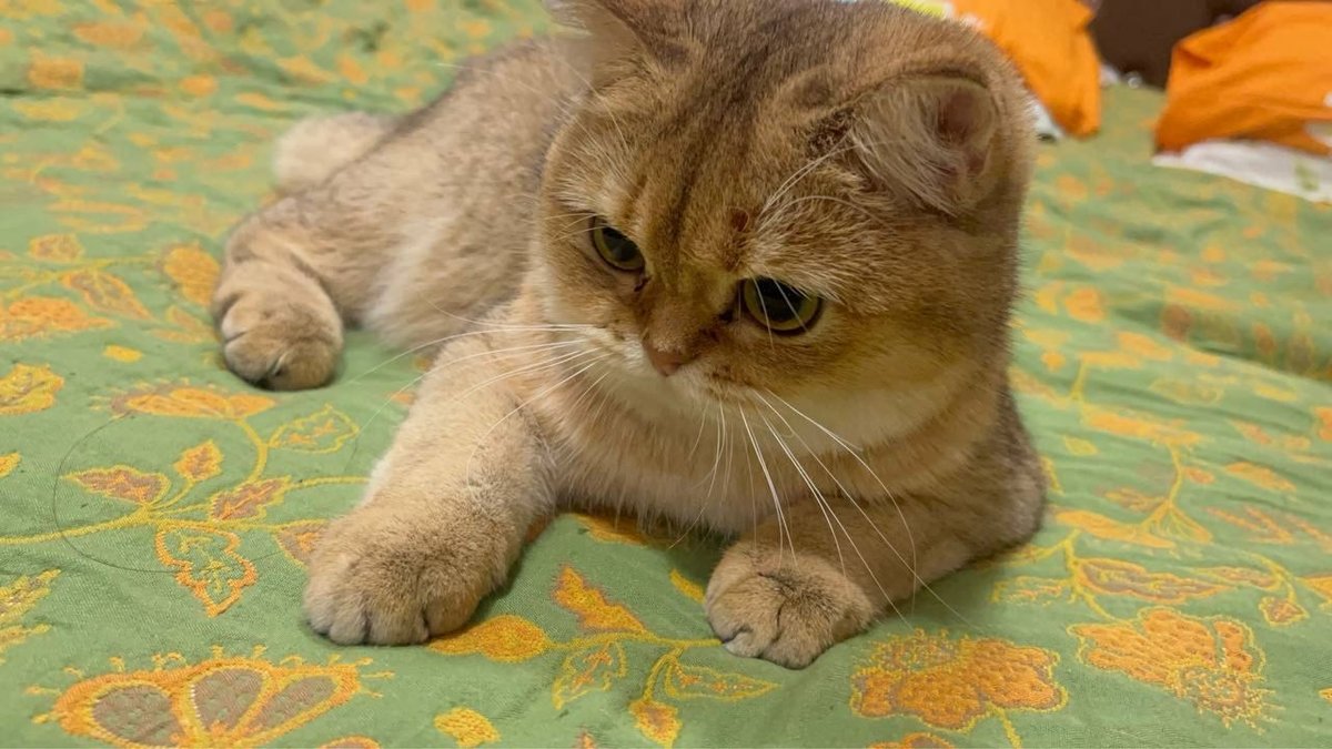 600 USD