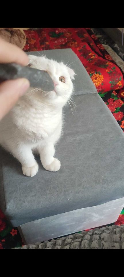 4 500 000 сум