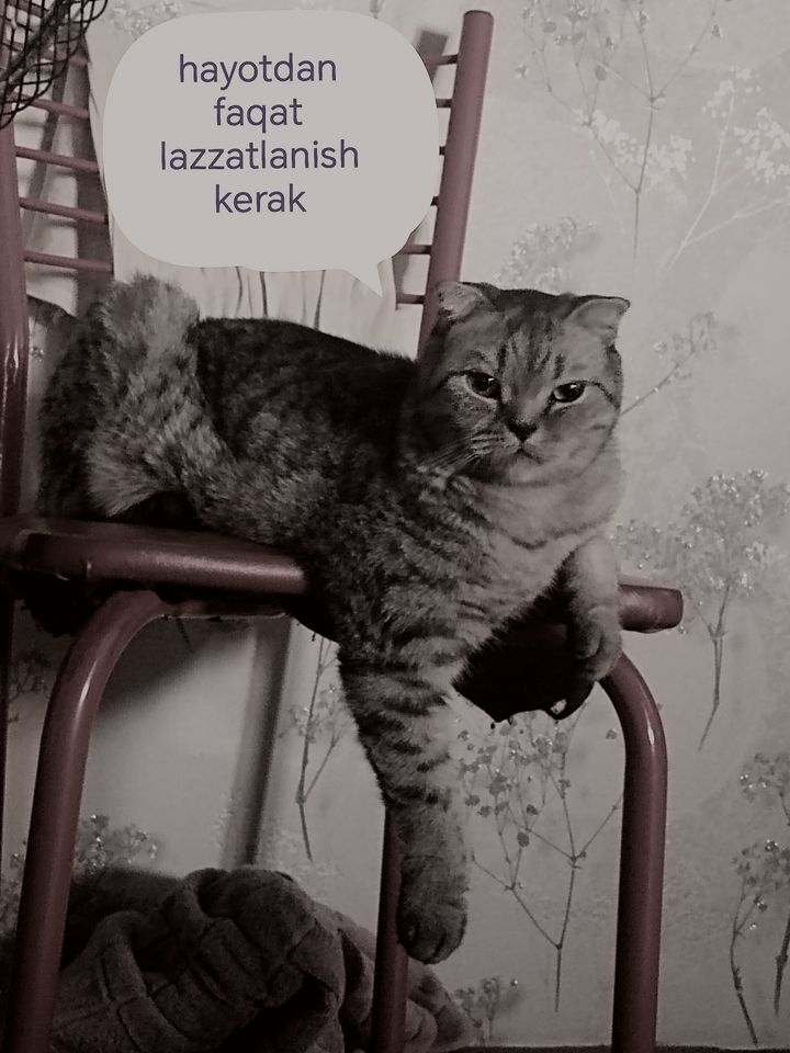 1 450 000 UZS