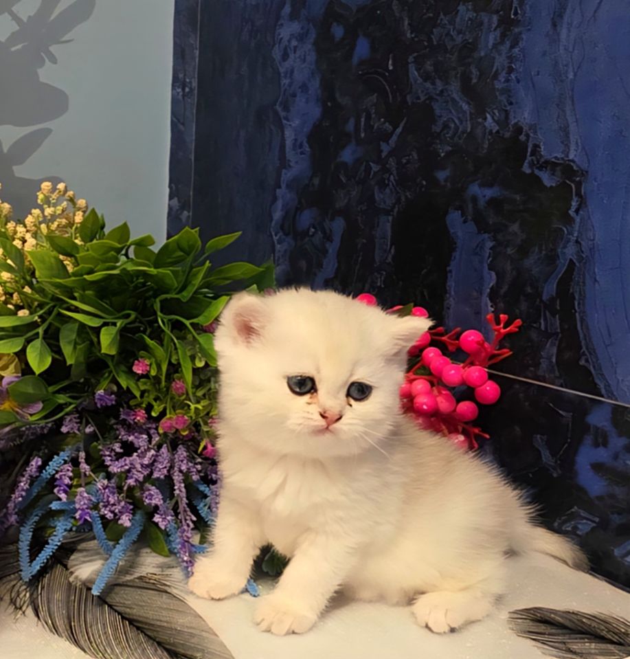 130 USD