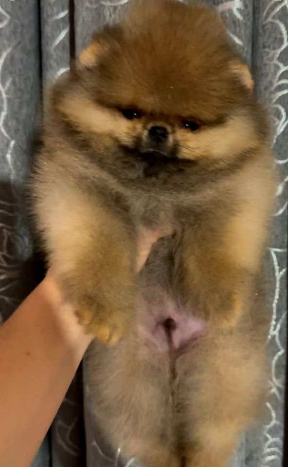 1 000 USD