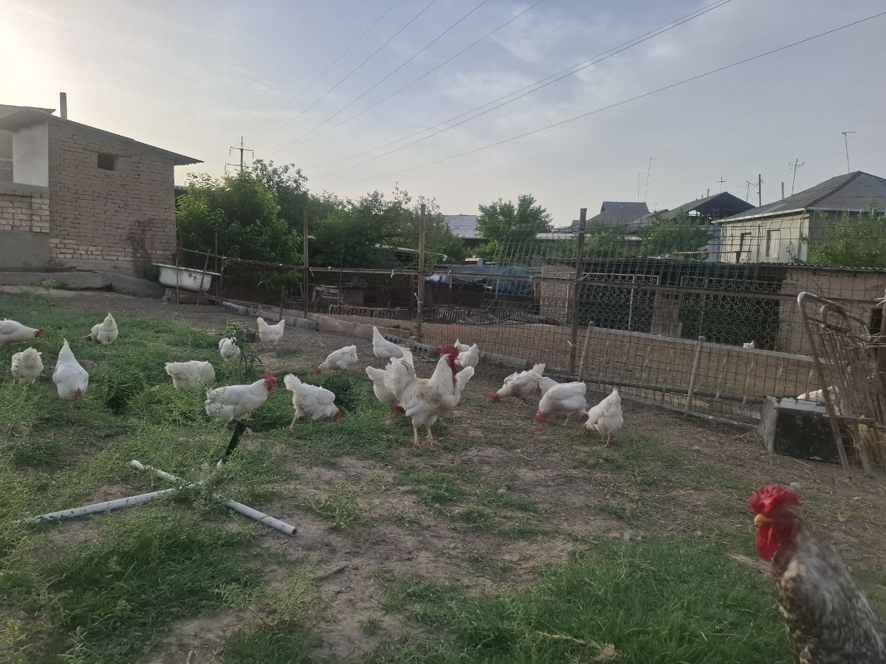 150 000 сум