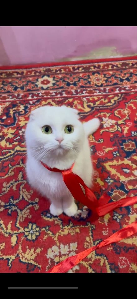 2 000 000 сум