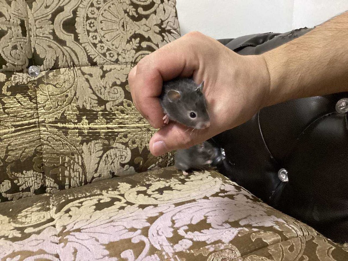 25 000 сум