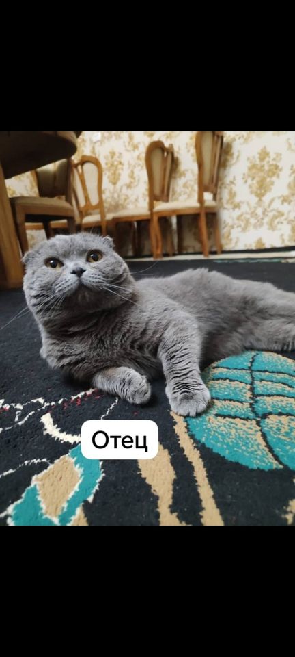 1 000 000 сум