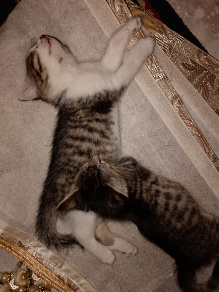 150 000 UZS