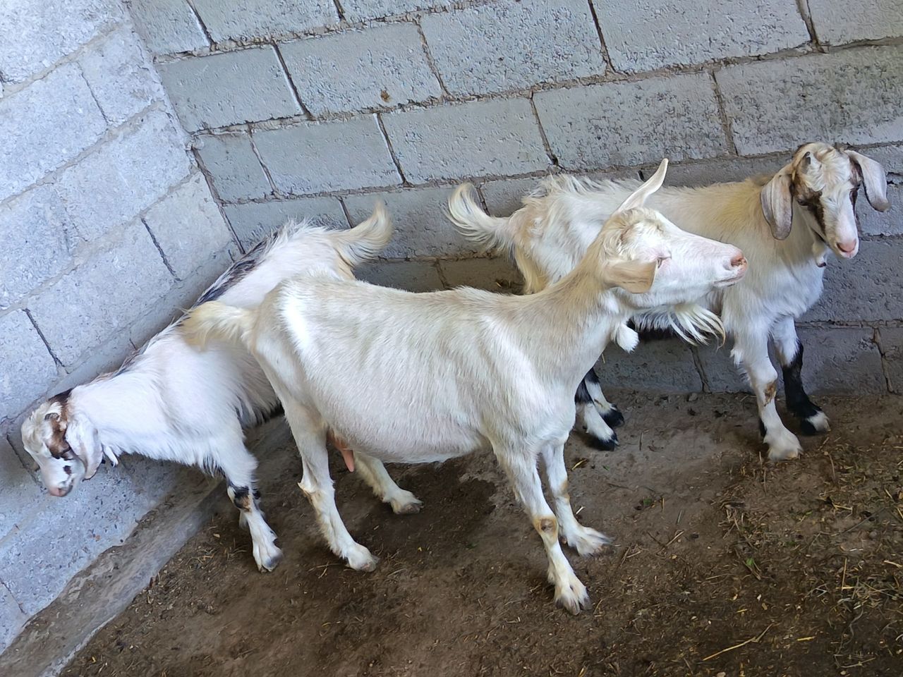 700 USD