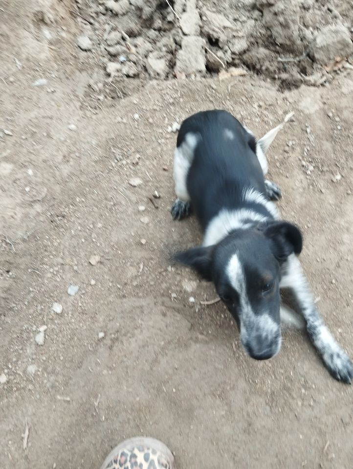 400 000 сум