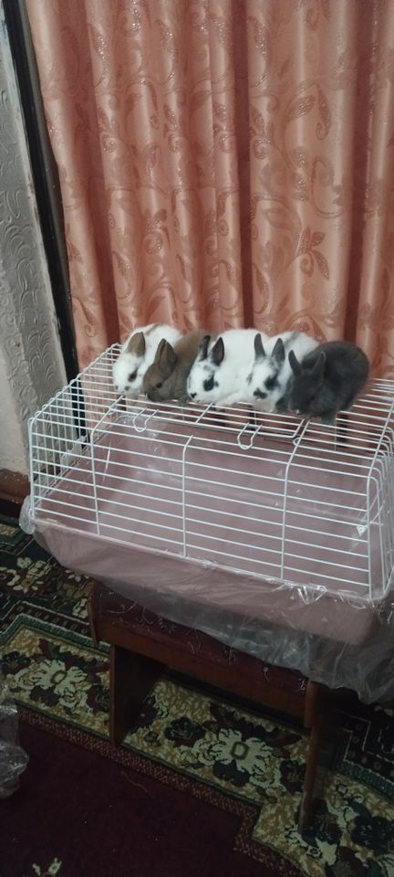 180 000 сум