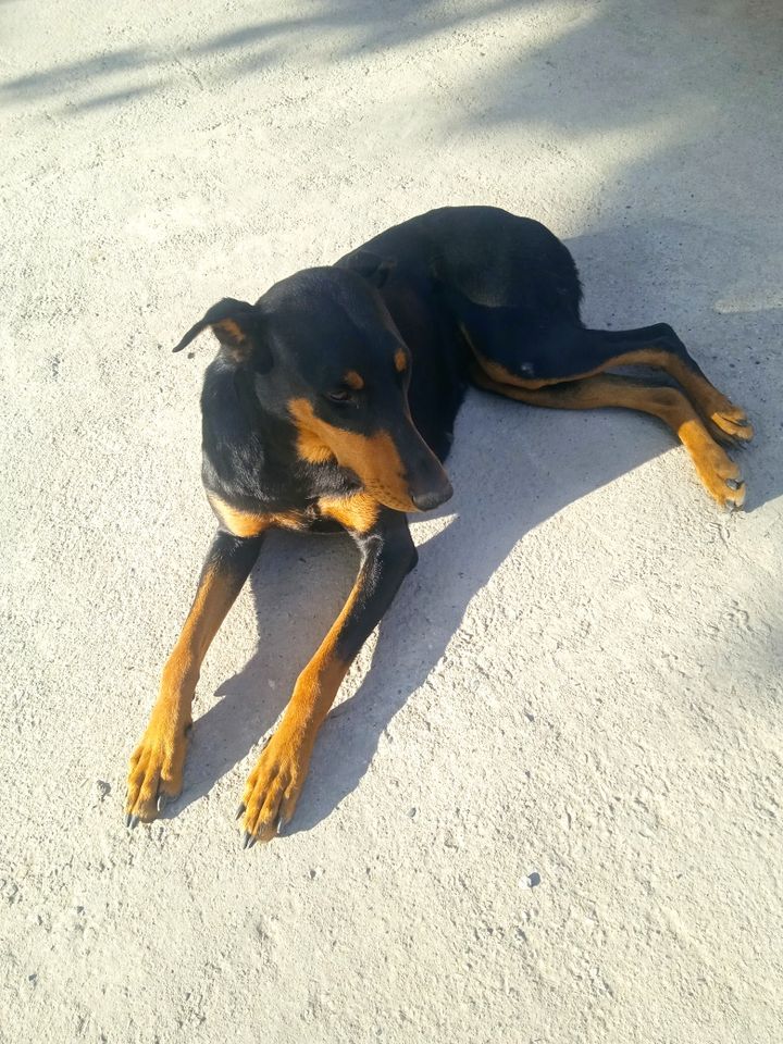 3 600 000 UZS