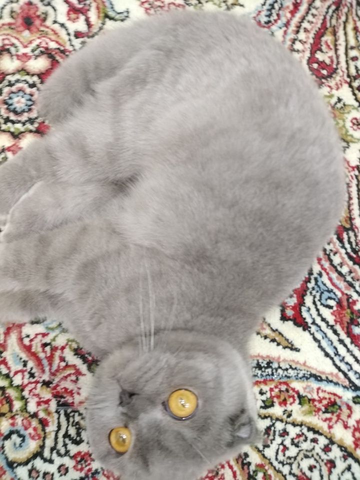 150 USD