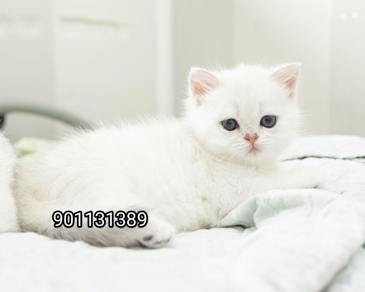 260 USD