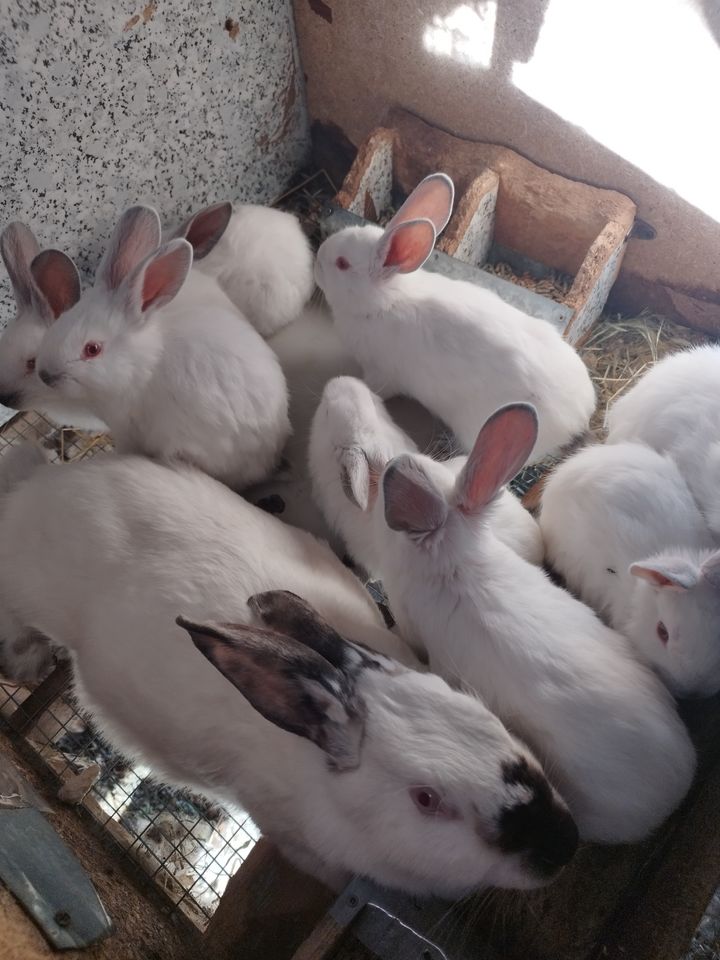150 000 сум