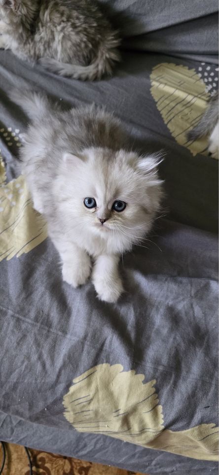 120 USD