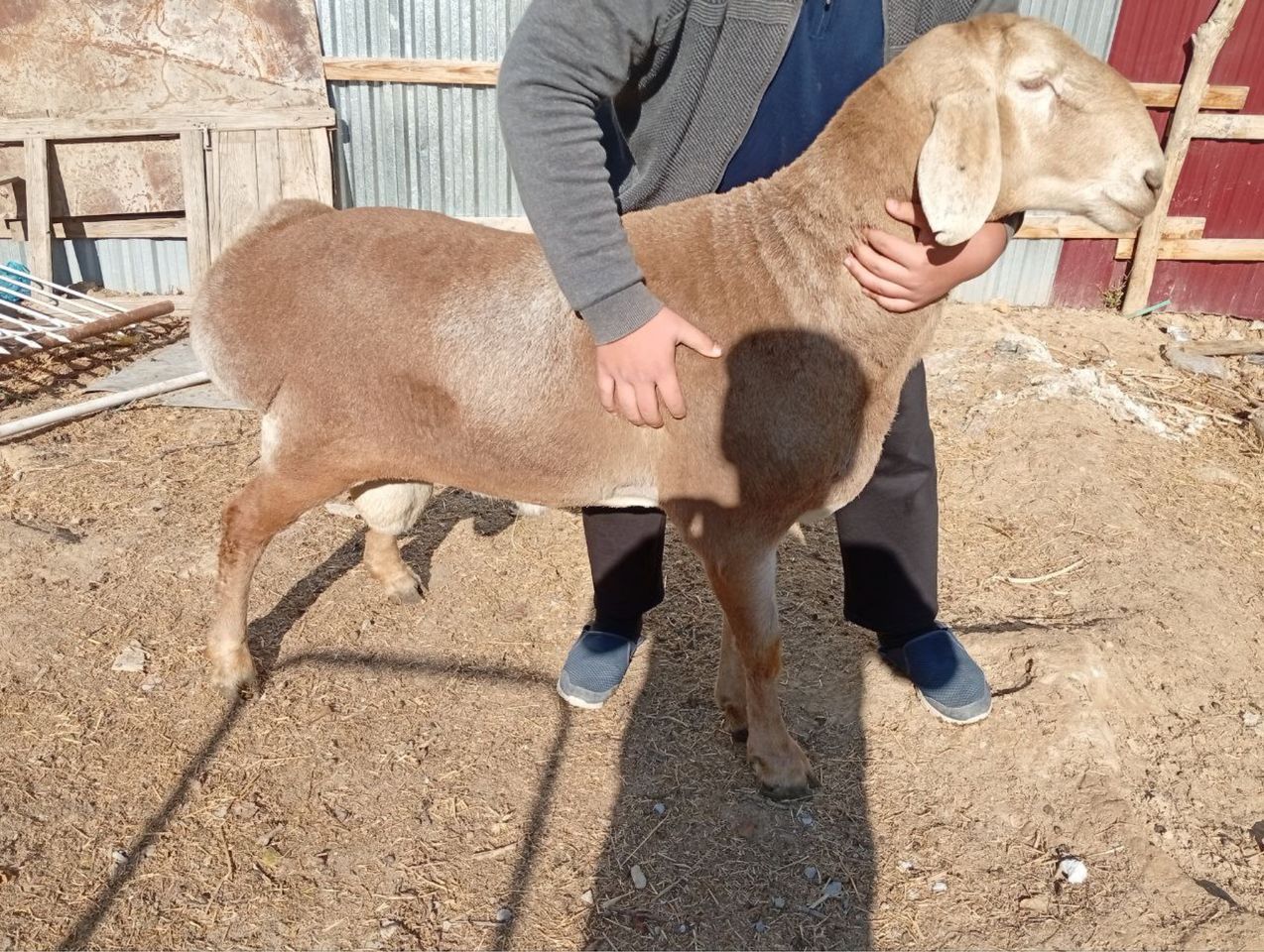 3 500 000 сум