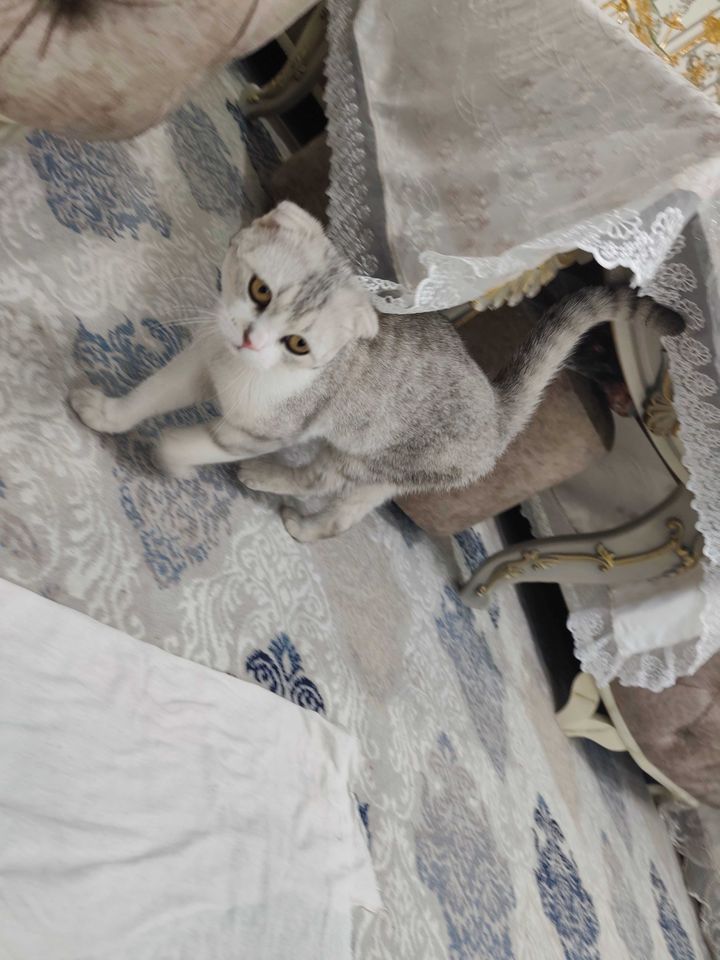 500 000 сум