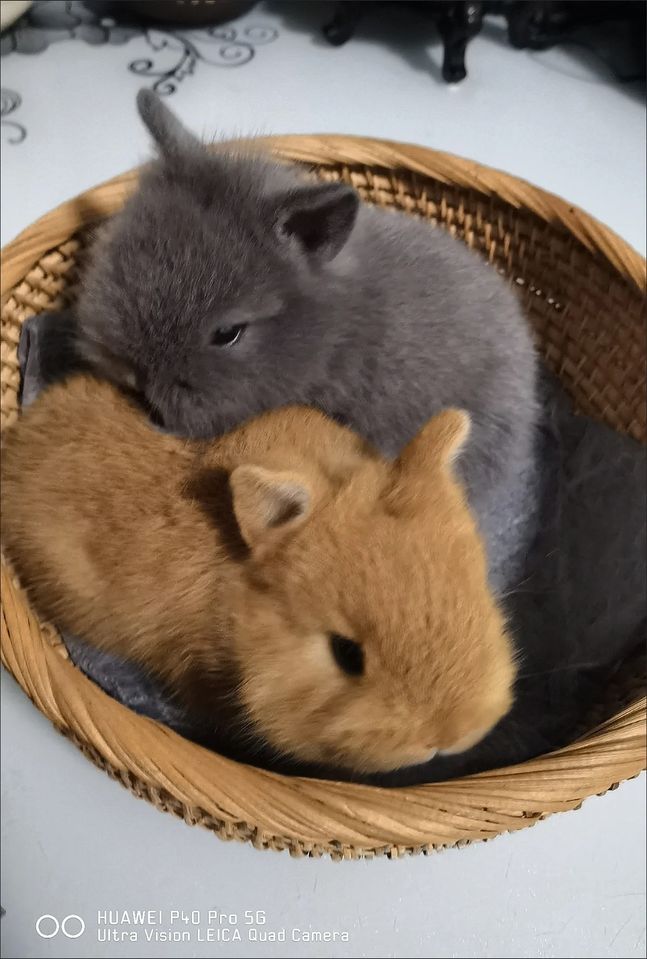 100 USD