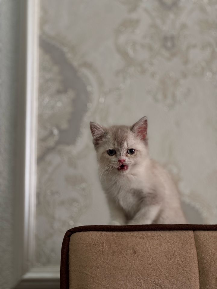 450 000 сум