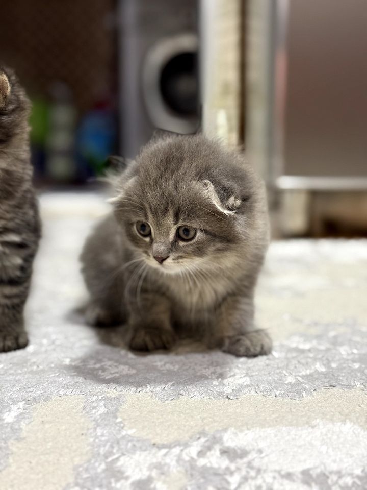 1 300 000 сум