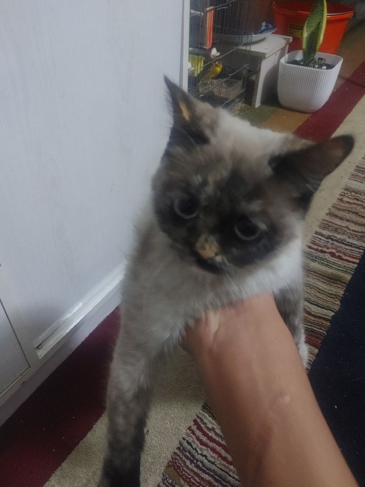 500 000 сум