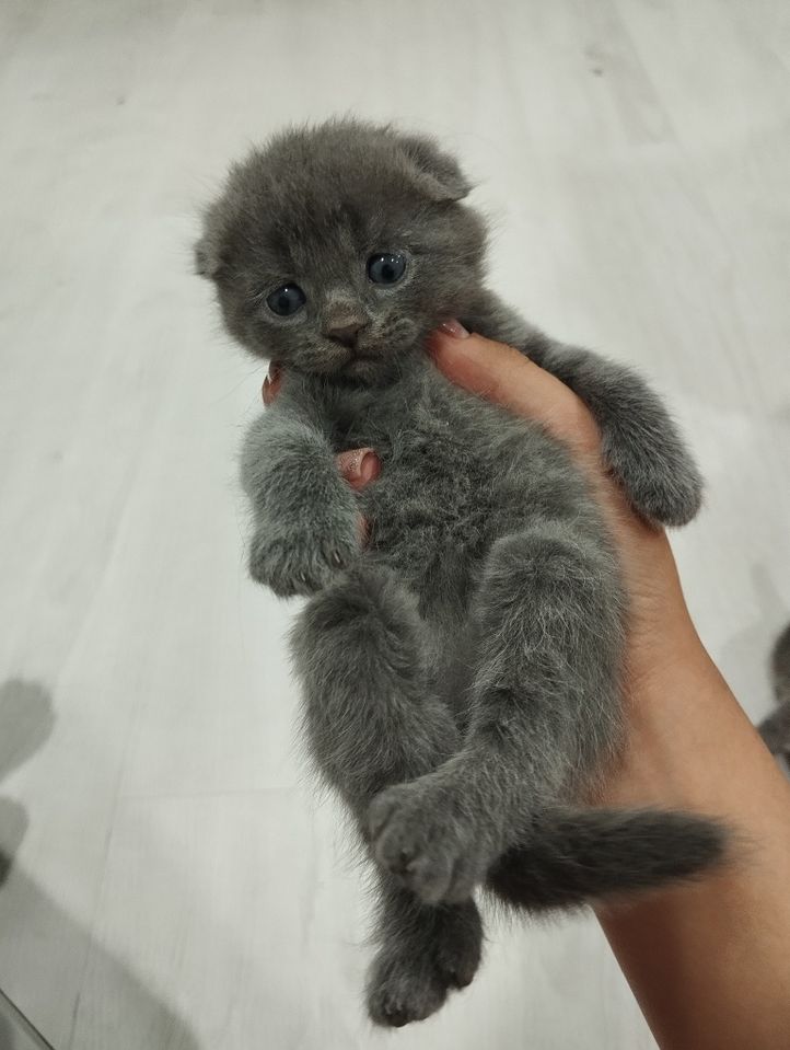 1 000 000 сум