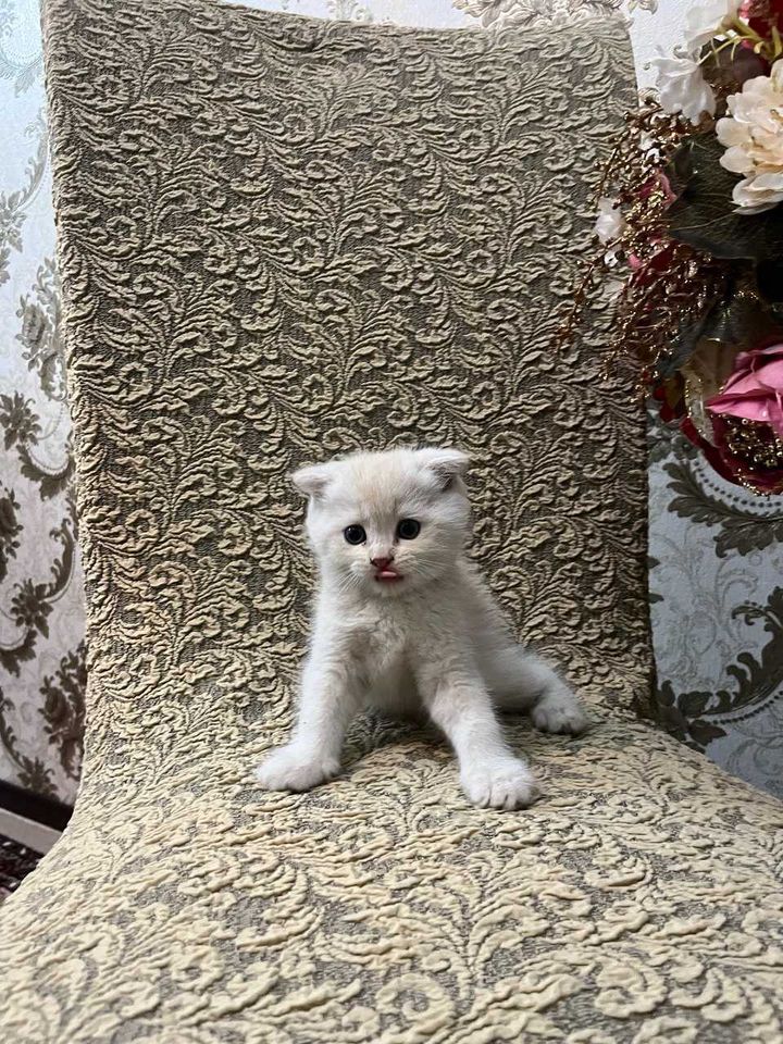 150 USD
