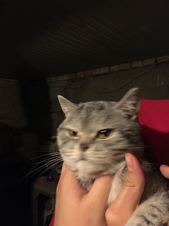 50 USD