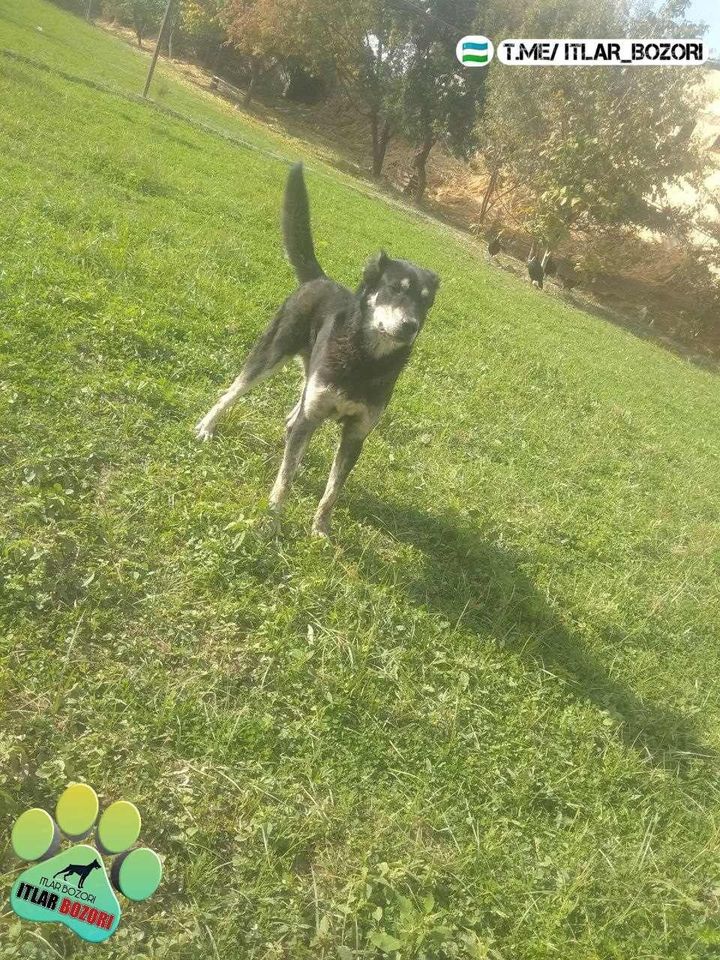 1 000 000 UZS