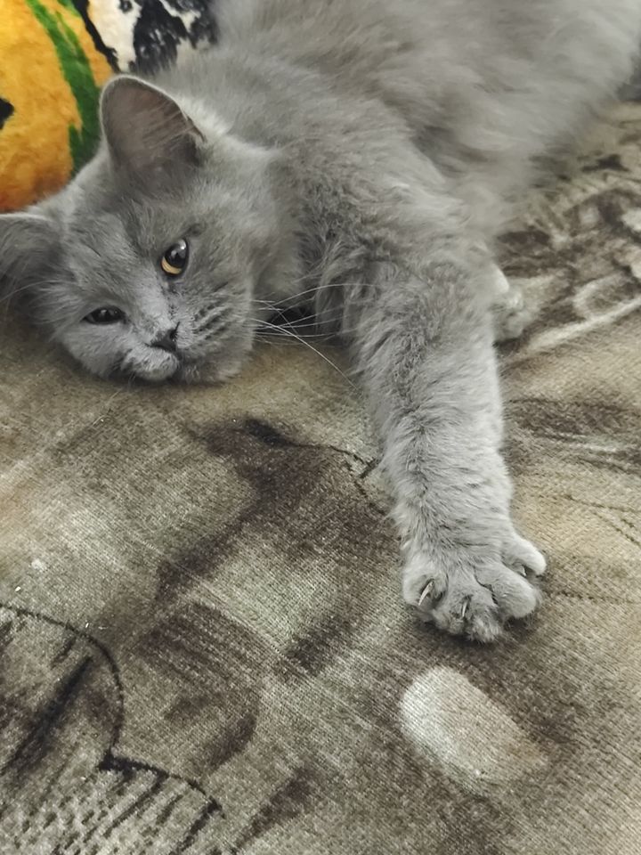 900 000 сум