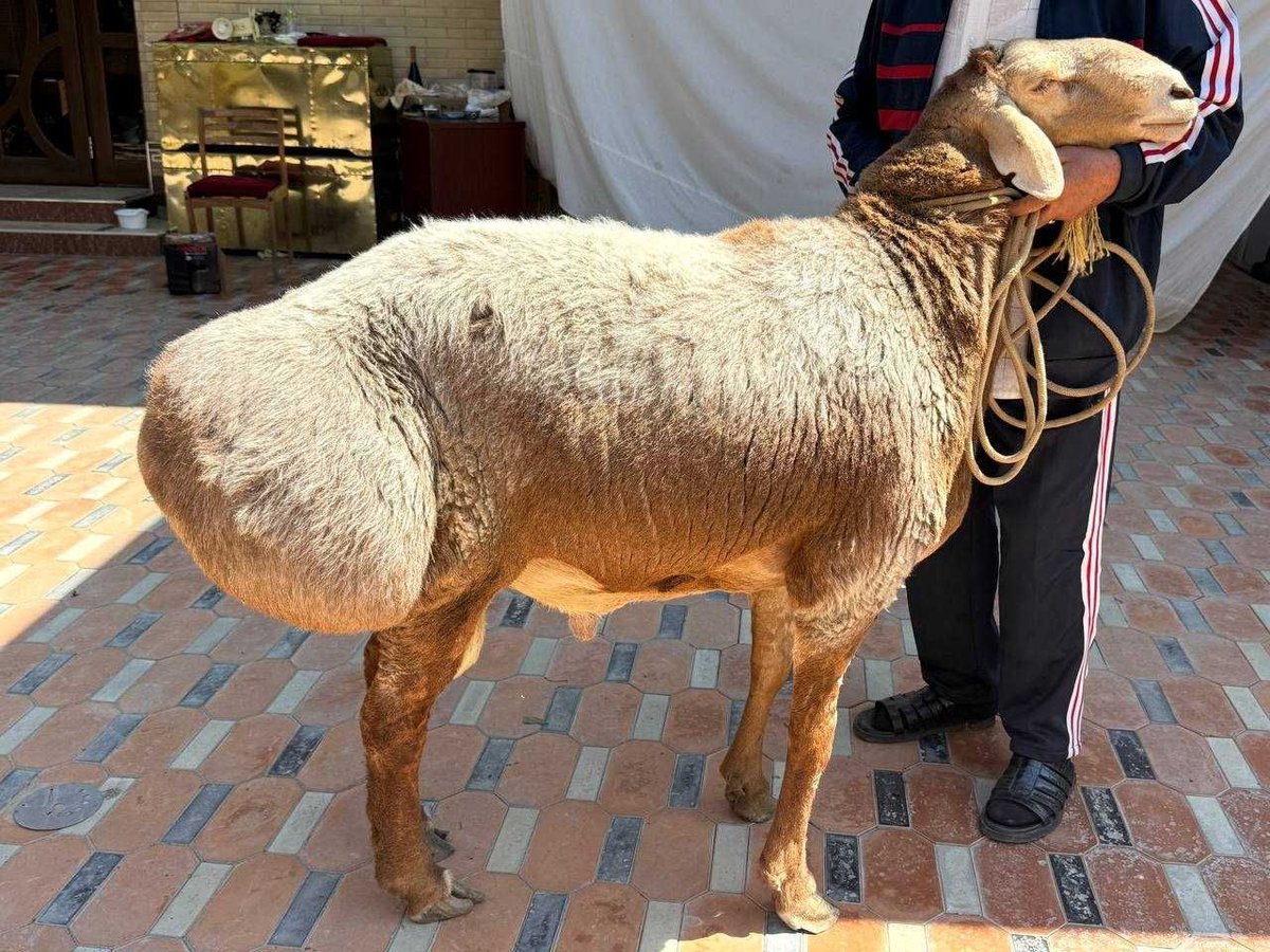 5 000 USD