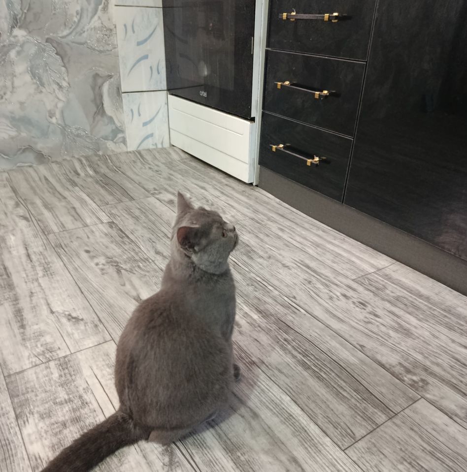 450 000 сум