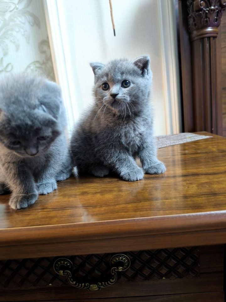 1 000 000 сум
