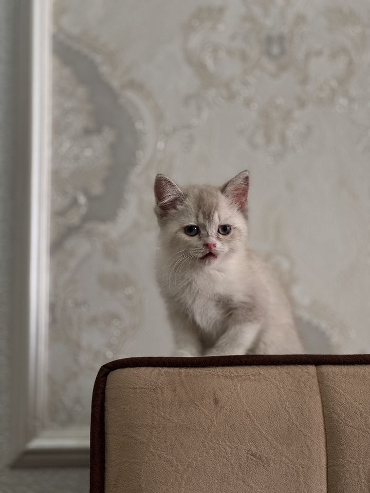 450 000 сум