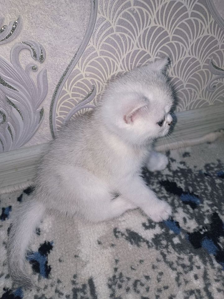 700 000 сум