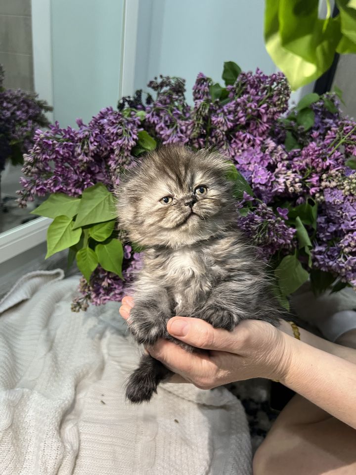 1 000 000 сум