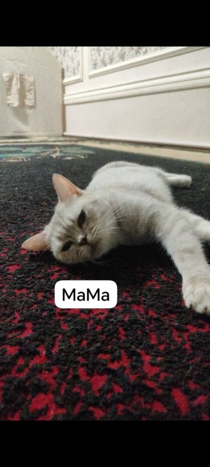 1 000 000 сум