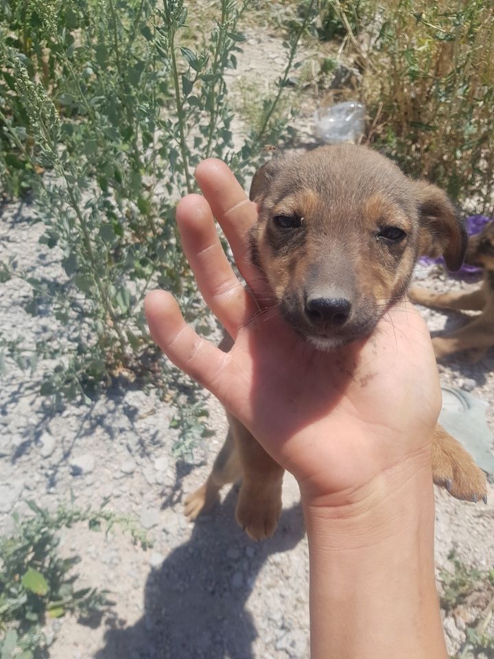 950 000 сум