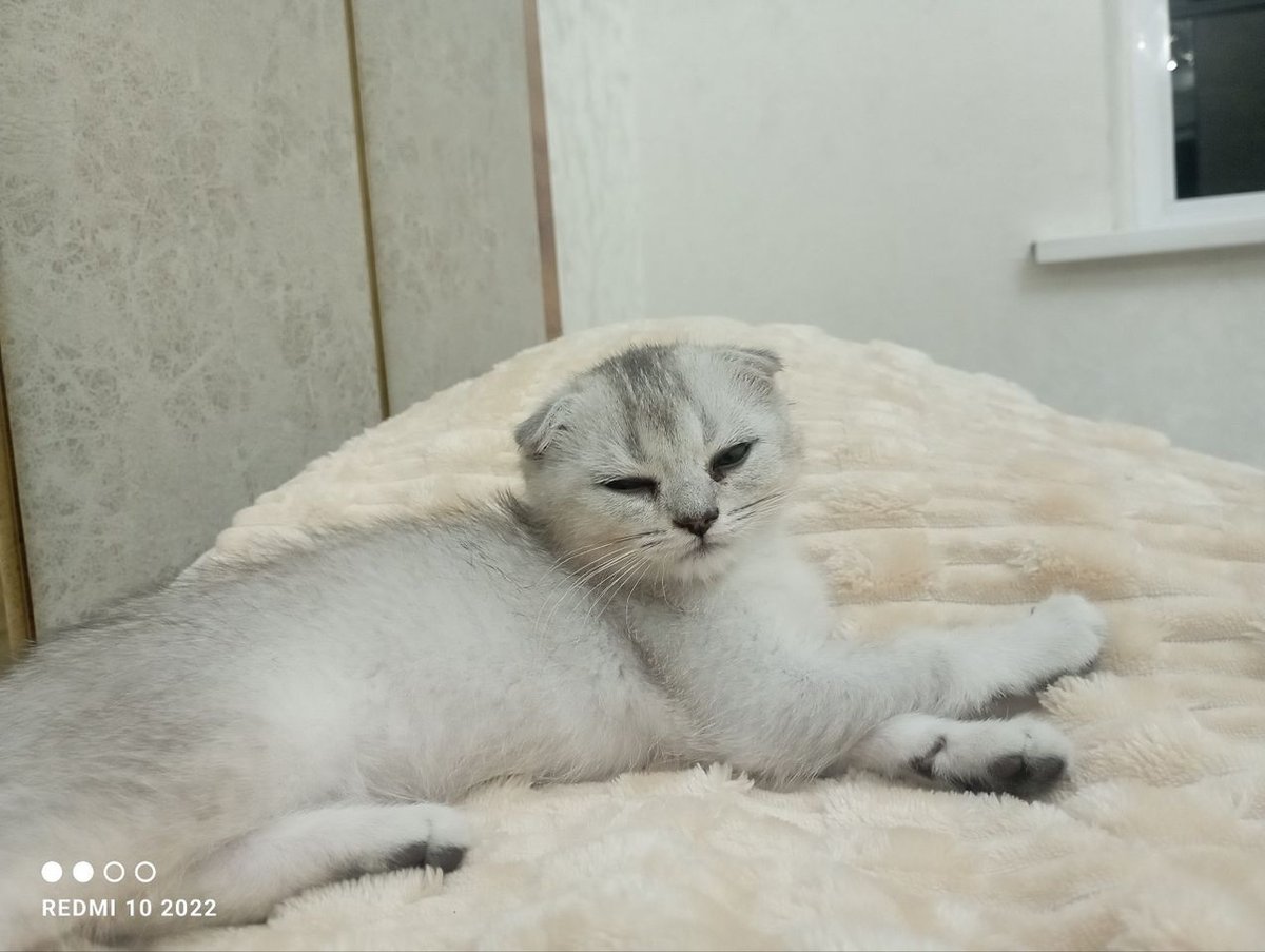 1 100 000 сум