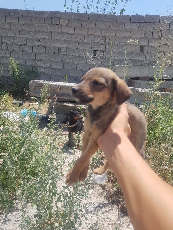 950 000 сум