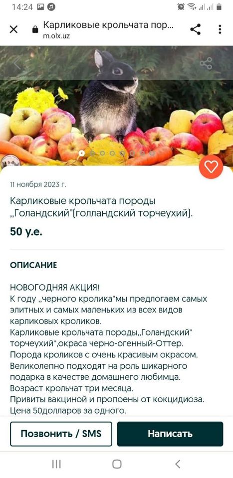 50 USD