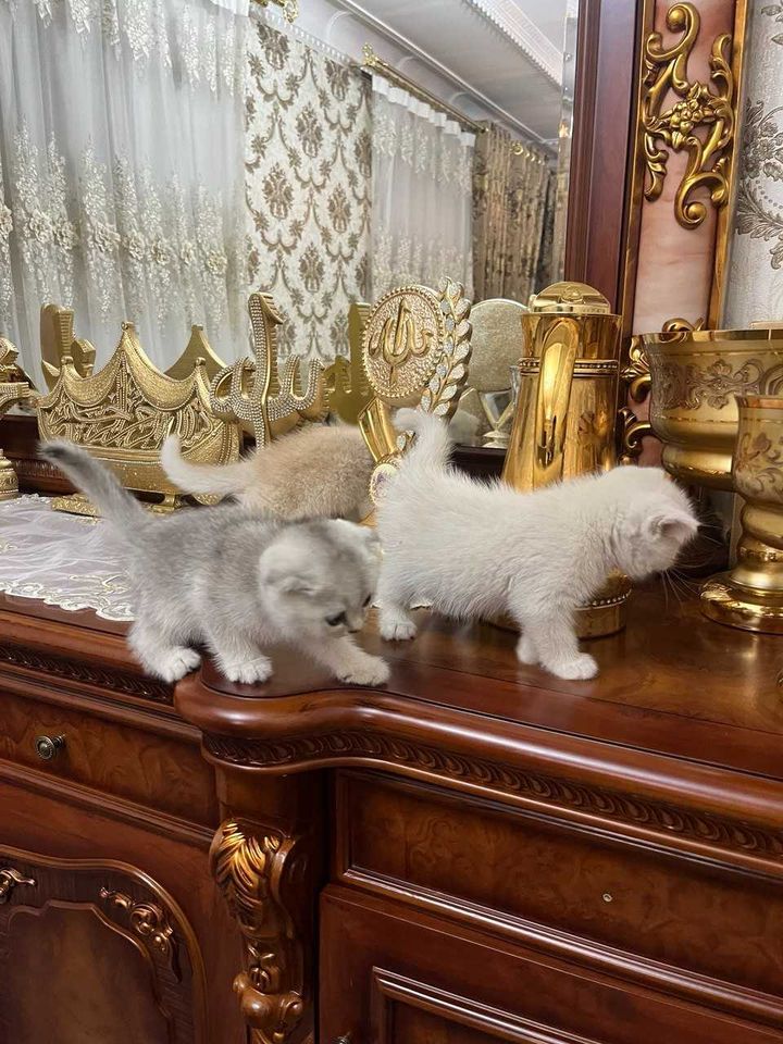 150 USD