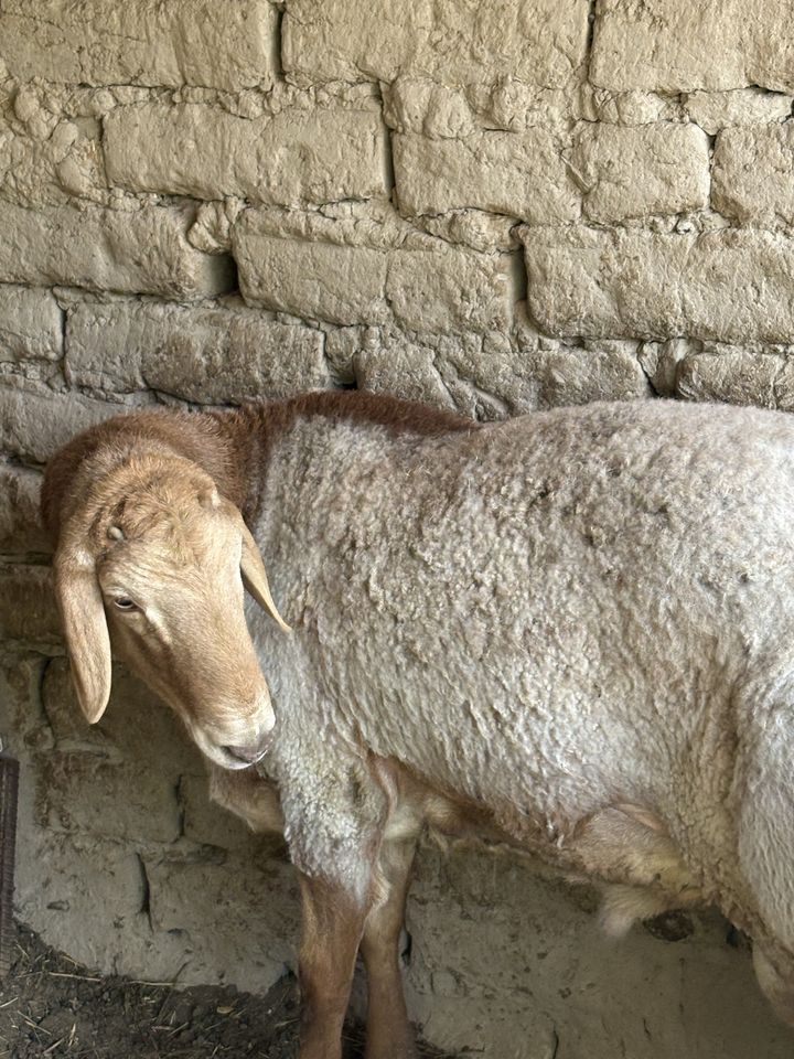 1 100 USD