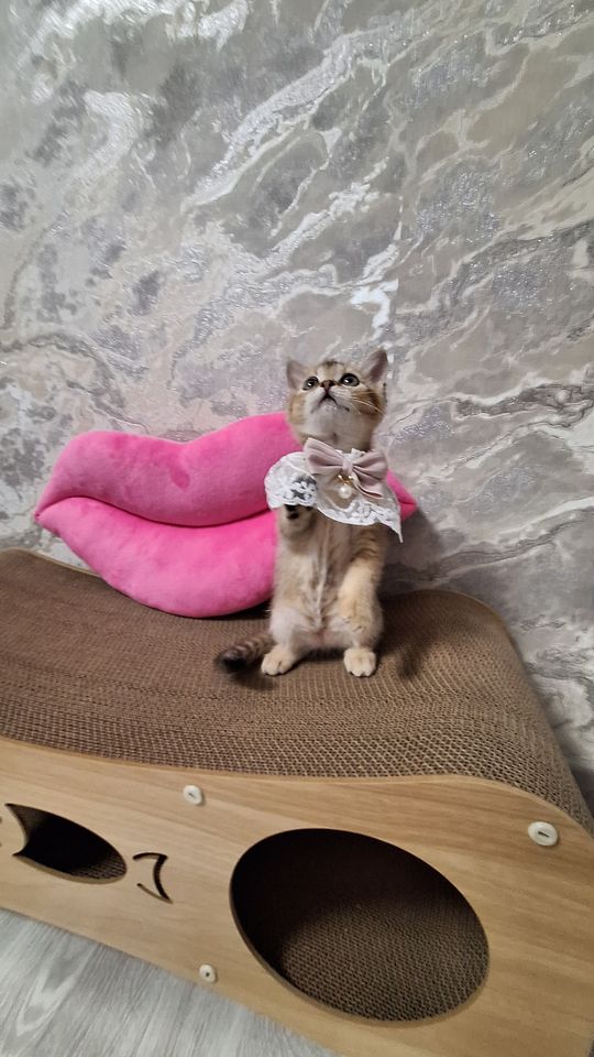150 USD