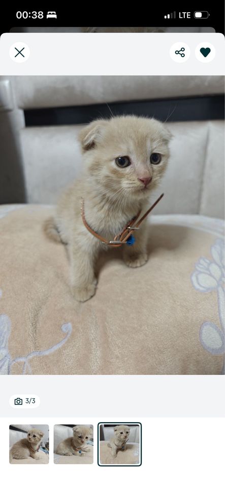 500 000 сум