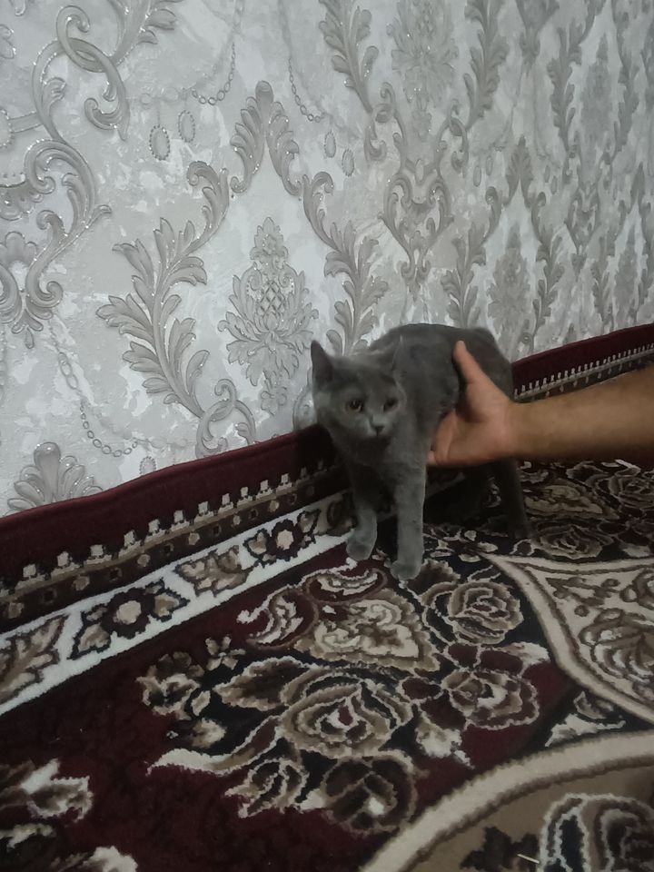 500 000 UZS