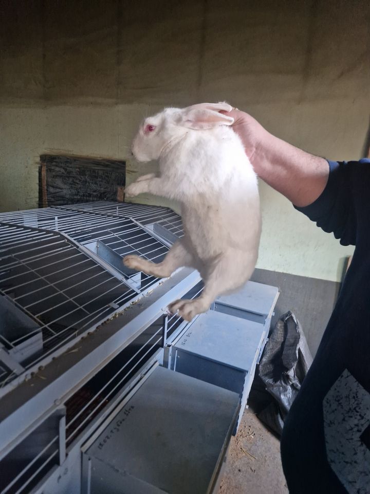 250 000 сум
