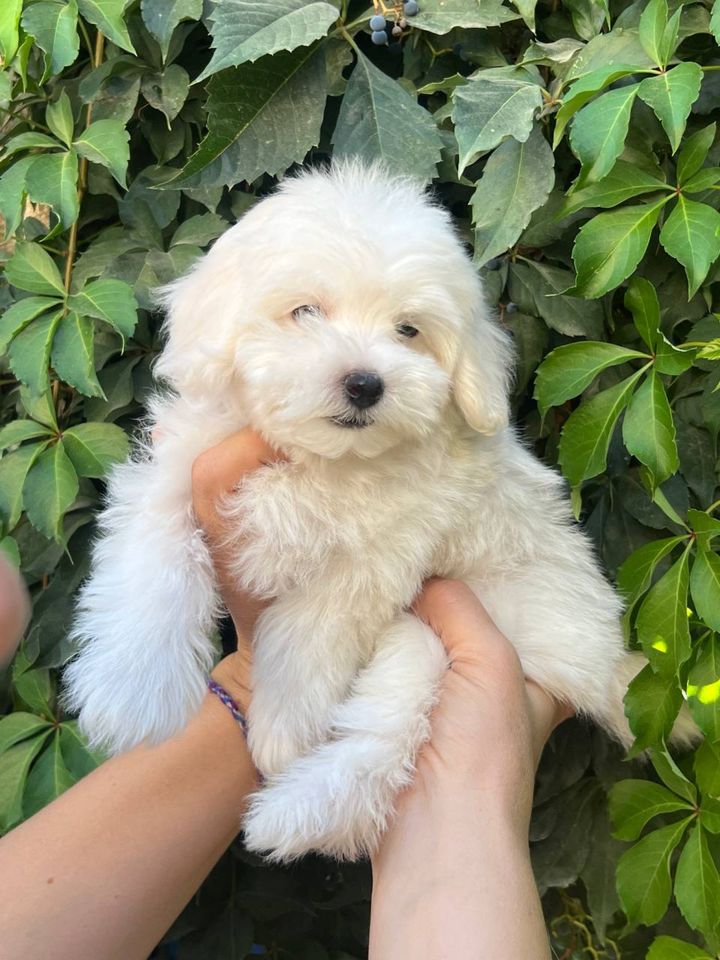 350 USD